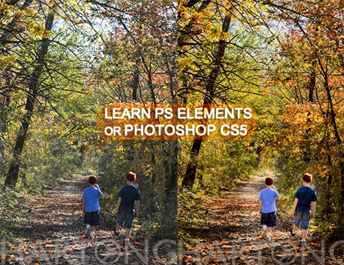 Learn Photoshop Elements