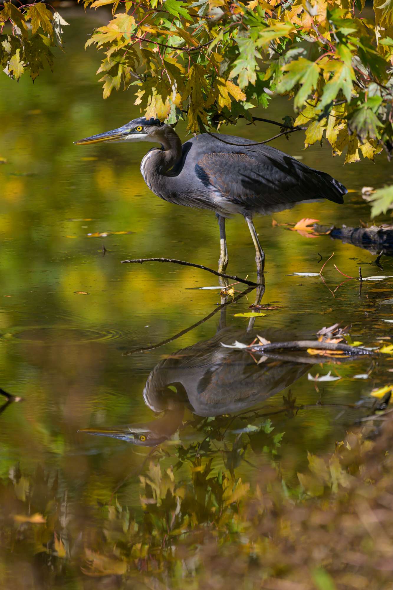 Photo Walks Hartong Digital Media Llc photo-walks-hartong-digital-media-llc